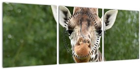 Tablou cu girafa (cu ceas) (90x30 cm)