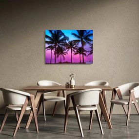 Tablou pe sticlă - Palmieri din Miami (70x50 cm)