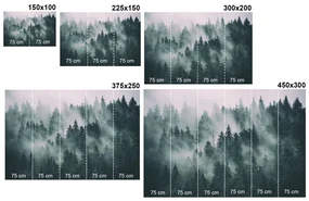 Fototapet autoadeziv misterul pădurii (2)