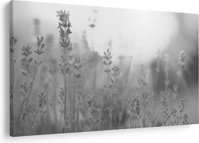 Tablou - Lavanda (90x60 cm)
