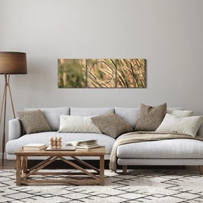 Tablou - Cereale (cu ceas) (90x30 cm)