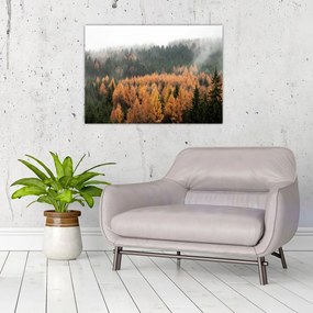 Tablou pe sticlă - Pădure toamna (70x50 cm)