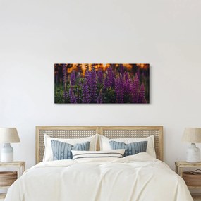 Tablou - Flori de lupin (120x50 cm)