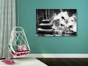 Tablou spa natura moartă în design alb-negru