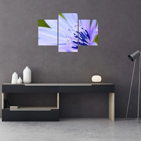 Tablou - Floare (90x60 cm)