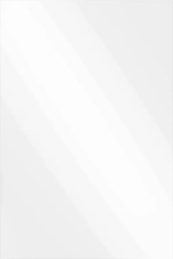 vidaXL Ogledna de perete Dreptunghiular 40 x 60 cm sticlă securizată