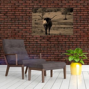 Tablou - Vacă din Texas (90x60 cm)