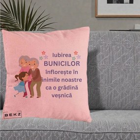 Cadou pentru Bunici - Perna Personalizata Bunicii Iubirea Infloreste Bunici cu Nepoata Colorat, 40x40 cm, Roz, Husa Detasabila, Perna Inclusa, BEKZ®
