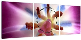 Tablou - Laleaua detailat (cu ceas) (90x30 cm)