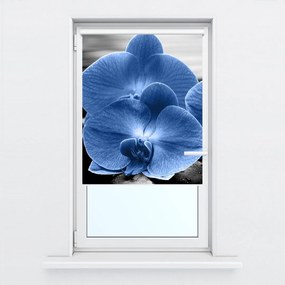 Fotojaluzele R015465R57150 (57x150 cm)