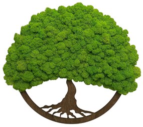 Moss copac de viață 30cm