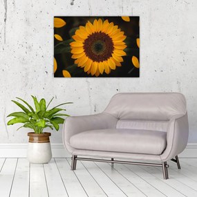 Tablou pe sticlă - Floarea soarelui și petale (70x50 cm)