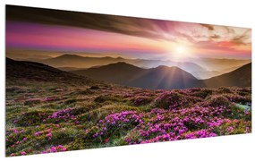 Tablou cu peisaj montan înflorit (120x50 cm), în 40 de alte dimensiuni noi