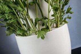 Aranjament floral, decor festiv design LUX, BABILON RANUNCOLO BIG 95cm, alb