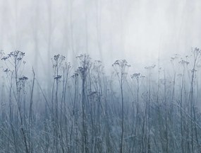 Fototapet, Autumn Haze, Blue, Rebel Walls