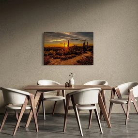 Tablou - Sfărșit de zi în deșertul Arizona (90x60 cm)