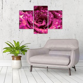 Tabloul cu floarea trandafirului roz (90x60 cm)