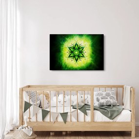Tablou - Mandala de flori, fundal verde (90x60 cm)