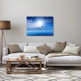 Tablou pe sticlă - Pescărușul peste mare (70x50 cm)