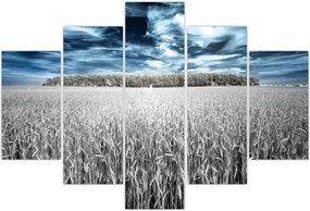 Tablou cu câmp (150x105 cm)