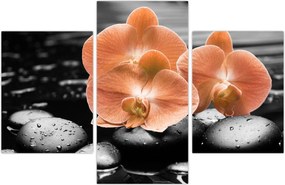 Tablou - Orhidee portocalii (90x60 cm)
