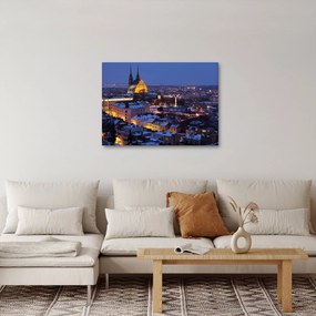 Tablou - Catedrala Sf. Peter și Paul, Brno, Republica Cehă (70x50 cm)