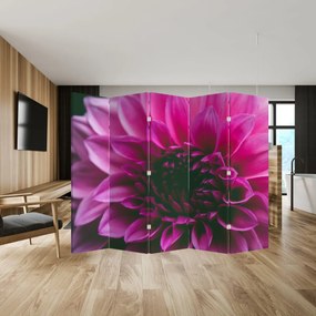 Paravan - floarea roz (210x170 cm)