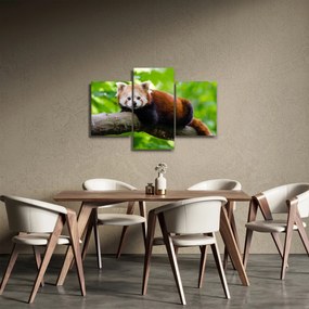 Tablou cu panda roșie (90x60 cm)