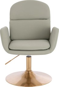 HR480N Scaun Culoarea Inului Piele Ecologica Premium Soft cu Bază Aurie