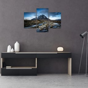 Tablou cu munții și tigrul (90x60 cm)