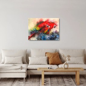 Tablou pe sticlă - Papagali roșii ara (70x50 cm)