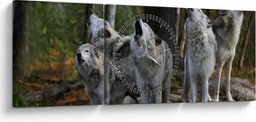 Tablou - Lupii de pe stâncă (cu ceas) (90x30 cm)