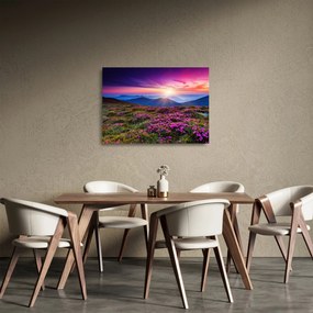 Tablou pe sticlă - Munte înflorit peisaj (70x50 cm)