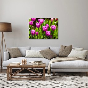 Tablou pe sticlă cu lale pe luncă (70x50 cm)