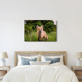 Tablou cu vulpe (90x60 cm)