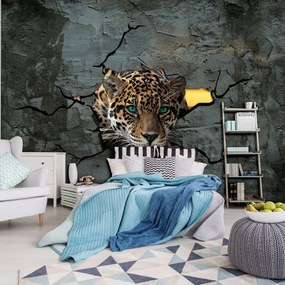 Fototapet - Jaguar după zid (152,5x104 cm)