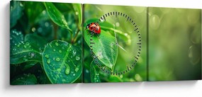 Tablou - Buburuza (cu ceas) (90x30 cm)