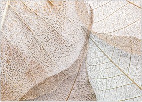 Tablou - Frunze bej (70x50 cm)