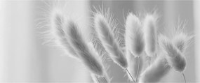Tablou - Iarbă de coadă de iepure (120x50 cm)