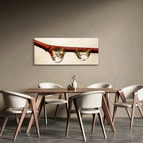 Tablou cu picături de apă pe creangă (120x50 cm)