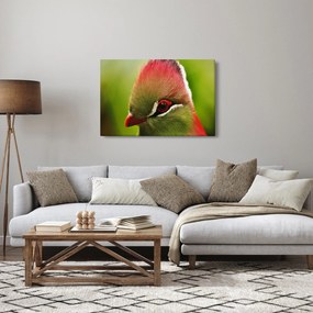 Tablou cu pasărea colorată (90x60 cm)