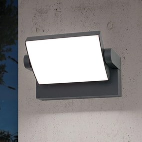 Aplica LED de exterior reglabila IP54 GINGE antracit