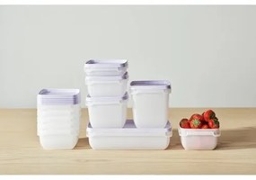 Set de recipiente SmartStore de plastic pentrucongelator 6 buc, lavanda, 300 ml, 300 ml