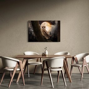 Tablou cu bufnița (90x60 cm)