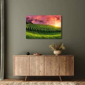 Tablou cu vie cu cerul color (90x60 cm)