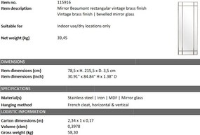 Oglinda decorativa LUX Beaumont Rectangular, alama vintage 78x215cm 115916 HZ