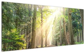 Tablou - Poteci în pădure (120x50 cm)