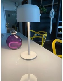 Lampă LED solară dimabilă de exterior Immax 08497L LED/4W/5V 3600mAh IP44