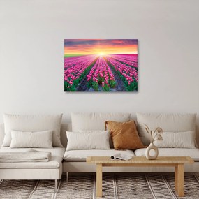 Tablou cu câmp de lalele cu soare (70x50 cm)