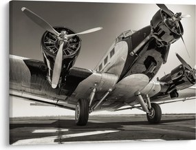 Tablou - Avioane istorice (70x50 cm)